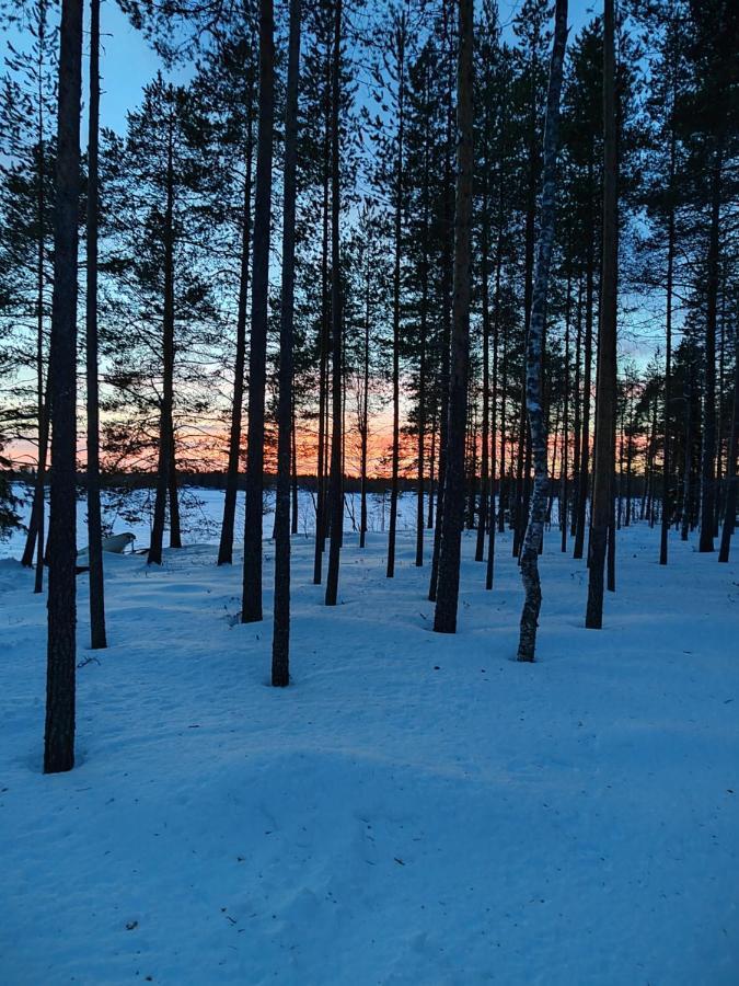 Villa Norvalisma Rovaniemi Esterno foto